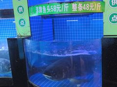 -千岛湖小鱼儿·淳安匠心农家菜