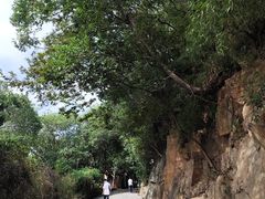 -上海佘山国家森林公园西佘山园