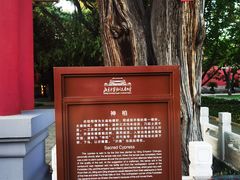 -北京市劳动人民文化宫(太庙)