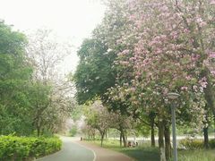 -南宁花花大世界景区
