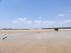 -日照海滨国家森林公园