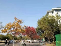 -东南大学(九龙湖校区)