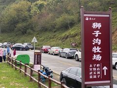 -狮子沟牧场