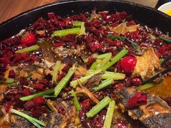 -老板恋上鱼(恒隆广场店)