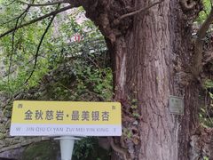 -大慈岩风景区