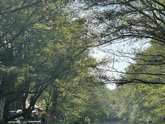 -西溪南古村落
