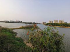 -立新湖公园