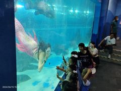 -苏州海洋馆