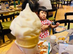-齐河孔雀王温泉酒店·金孔雀自助百汇