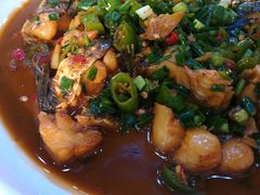 -全乐鱼馆·淳牌有机鱼直营店