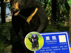-吉林省自然博物馆