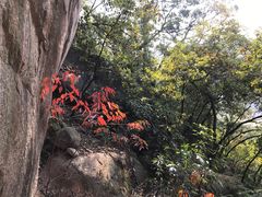 -云洞岩风景区