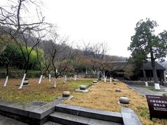 -镇江市南山风景名胜区竹林景区