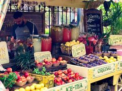 -The Grounds of Alexandria
