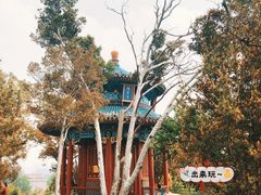 景点-景山公园