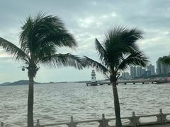 -港珠澳大桥(珠海段)
