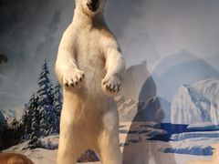 -陕西自然博物馆