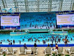 -环球中心海洋乐园