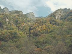 -青峰峡国家森林公园