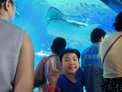 -烟台海昌鲸鲨海洋公园