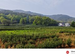 -灵隐飞来峰景区
