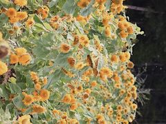 -帽儿山国家森林公园