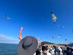 -海驴岛(荣成市)