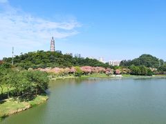 -顺峰山公园