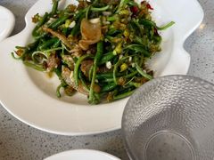 黄瓜苗-农家大院(纪王店)