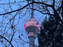 -中央广播电视塔