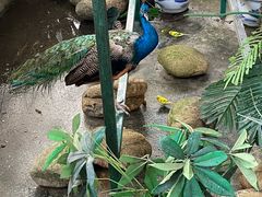 -厦门园林博览苑