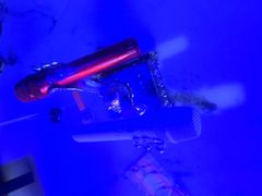 -温莎KTV(国贸店)