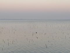-阳澄湖费尔蒙酒店