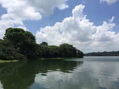 -河川生态园