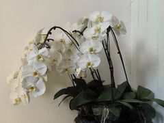 -雕刻时光咖啡馆(北师大店)