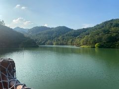 -广州白江湖森林公园