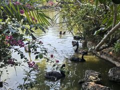 -海南热带野生动植物园