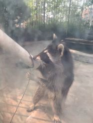 -萌宠亲子动物乐园(槐房万达店)