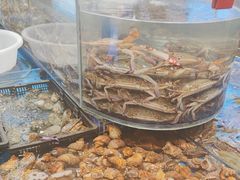 -鲜得莱渔港·小平岛海胆馆(七贤岭店)