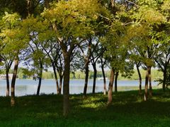 -大兴滨河森林公园