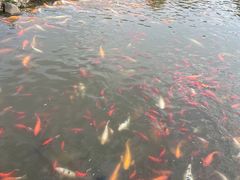 -月牙潭公园