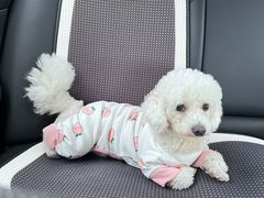 -阿露佳·舌尖上的安吉菜