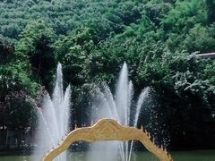 -西双版纳原始森林公园