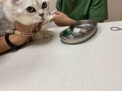 -瑞鹏宠物医院·超声·骨科·奇麟分院(蜀都万达店)