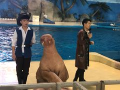 -泉城欧乐堡海洋极地世界