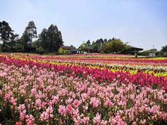 -保利石象湖景区