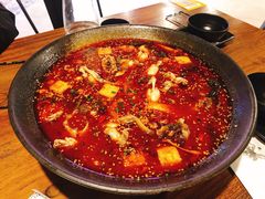 -靓蛙馆