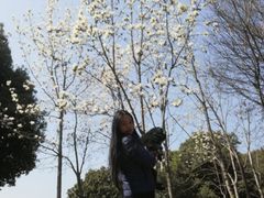 -玉山公园