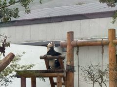 -无锡动物园·太湖欢乐园