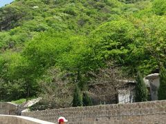 -北京上方山国家森林公园